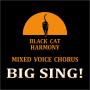 BIG SING! BIG SING!